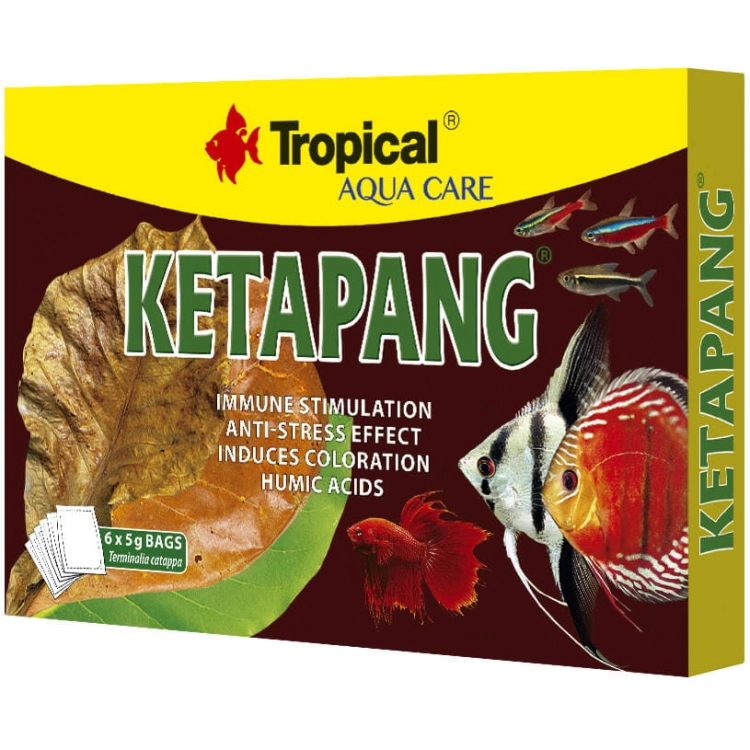 KETAPANG_6X5G