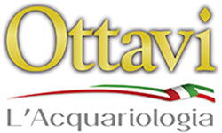 Producent: Ottavi (przejdź do produktów)